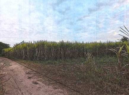 รูปที่ดินว่างเปล่า หัวหิน ห้วยเม็ก กาฬสินธุ์