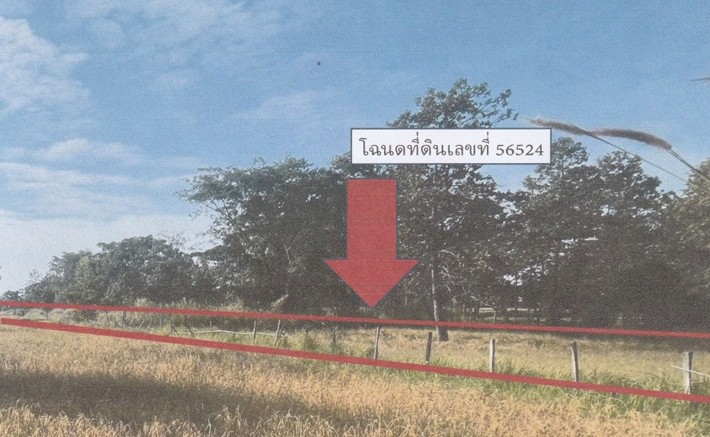 รูปที่ดินว่างเปล่า หนองสิม บรบือ มหาสารคาม