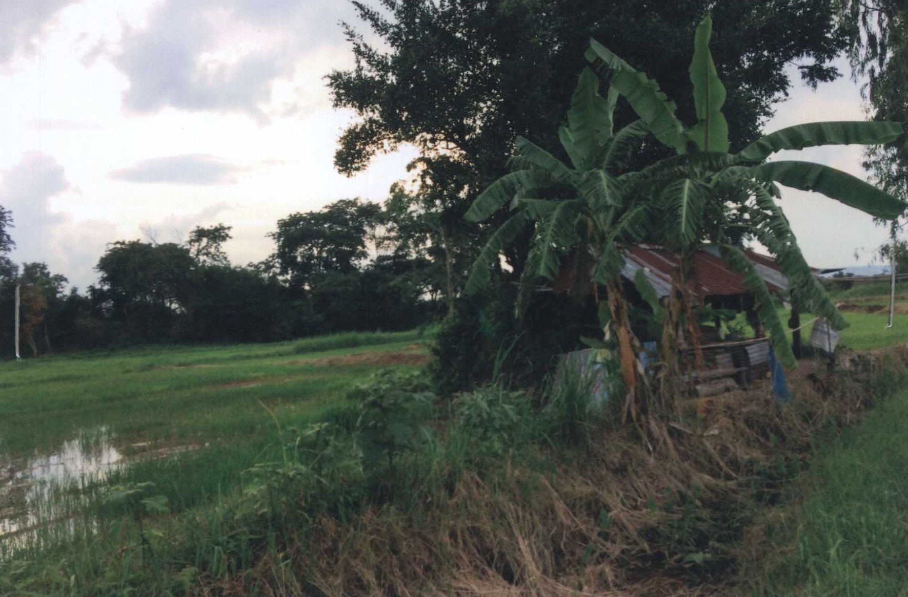 รูปที่ดินว่างเปล่า กุดเค้า มัญจาคีรี ขอนแก่น