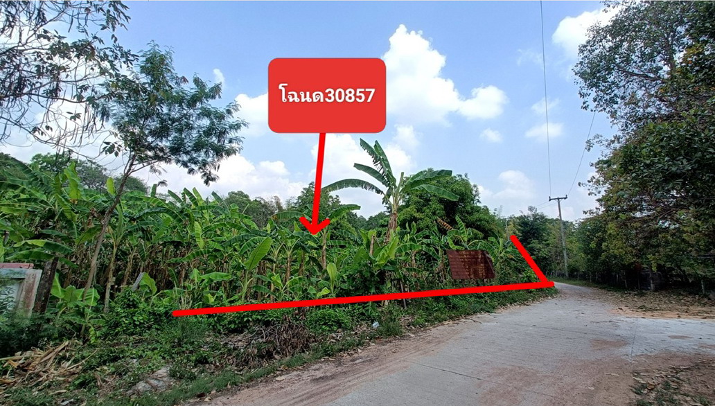 รูปที่ดินว่างเปล่า บรบือ บรบือ มหาสารคาม