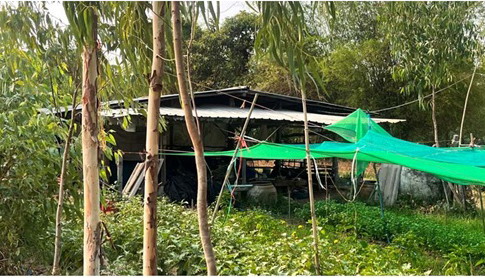 รูปที่ดินพร้อมสิ่งปลูกสร้าง เมืองเสือ พยัคฆภูมิพิสัย มหาสารคาม