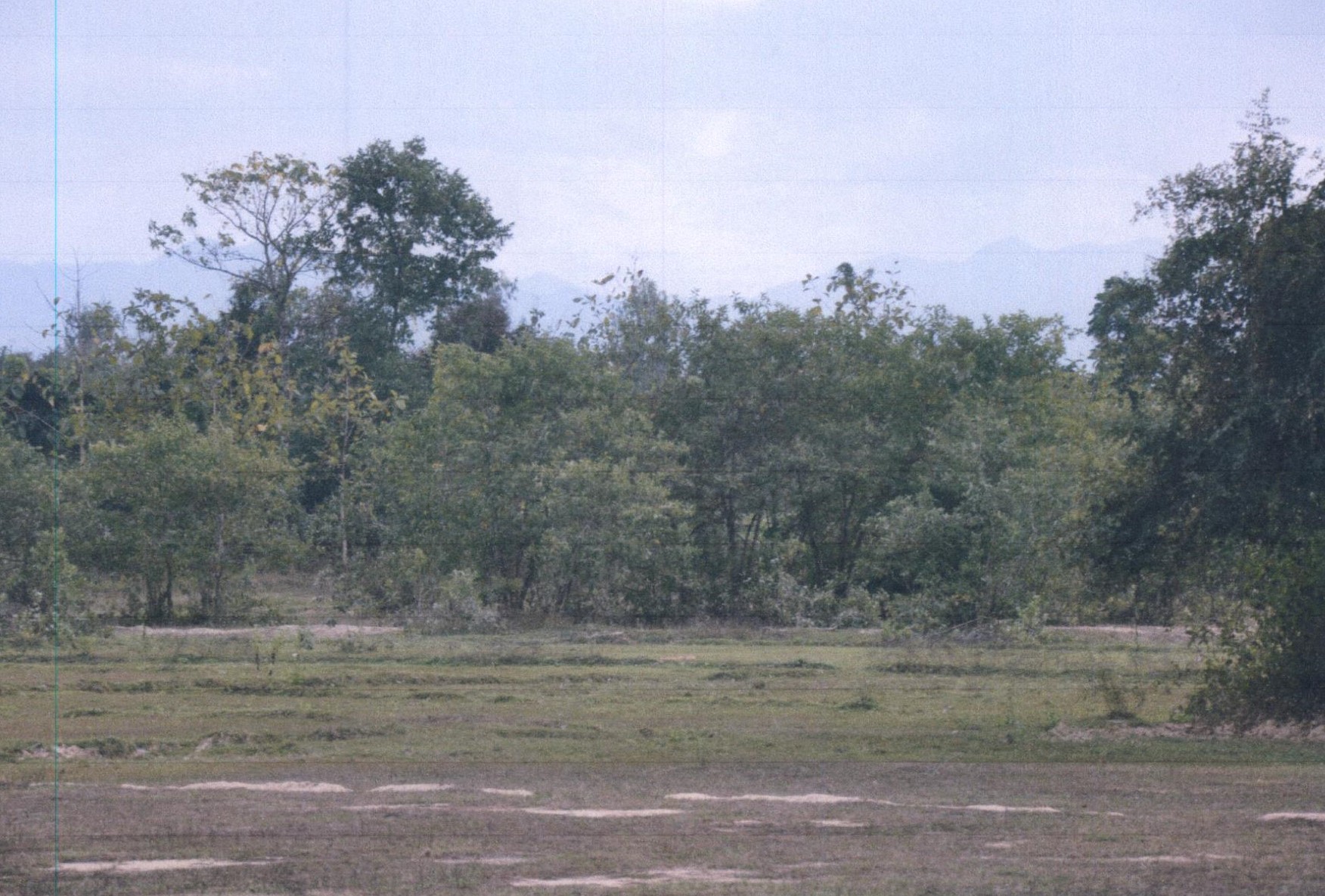 รูปที่ดินว่างเปล่า เหมืองหม้อ เมืองแพร่ แพร่