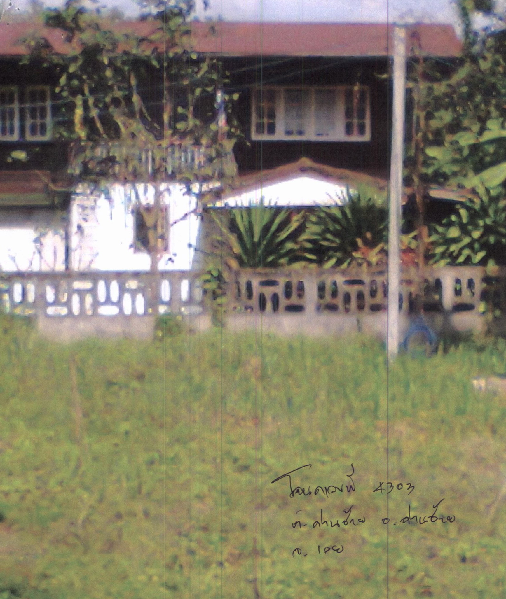 รูปที่ดินพร้อมสิ่งปลูกสร้าง ด่านซ้าย ด่านซ้าย เลย