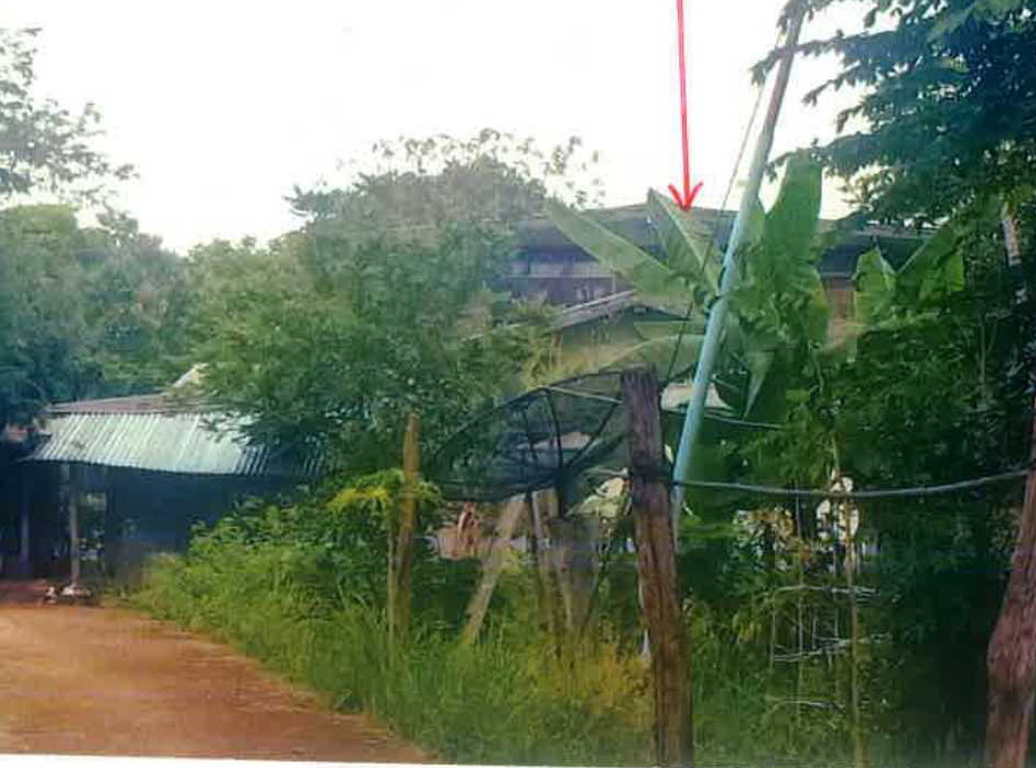 รูปที่ดินพร้อมสิ่งปลูกสร้าง ป่าไม้งาม เมืองหนองบัวลำภู หนองบัวลำภู