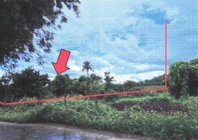รูปที่ดินว่างเปล่า แม่สูน ฝาง เชียงใหม่