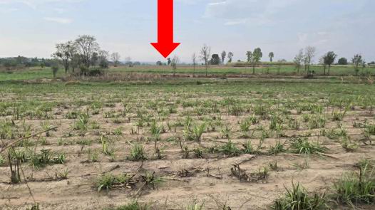 รูปที่ดินว่างเปล่า ชื่นชม ชื่นชม มหาสารคาม
