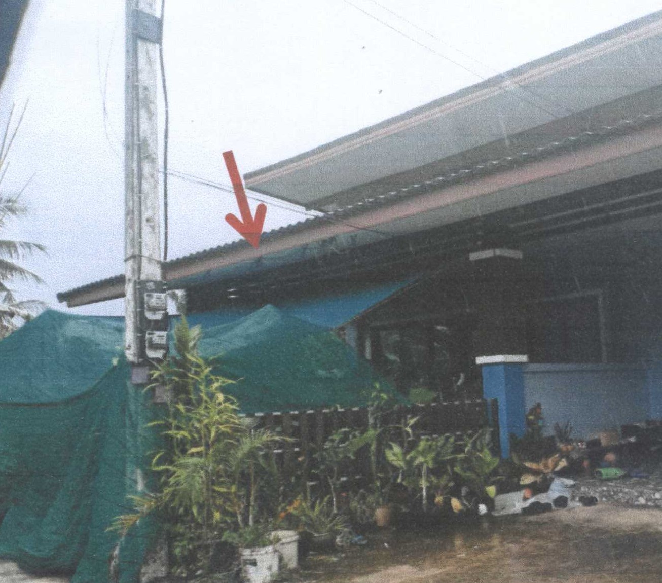 รูปที่ดินพร้อมสิ่งปลูกสร้าง ปากน้ำ เมืองชุมพร ชุมพร