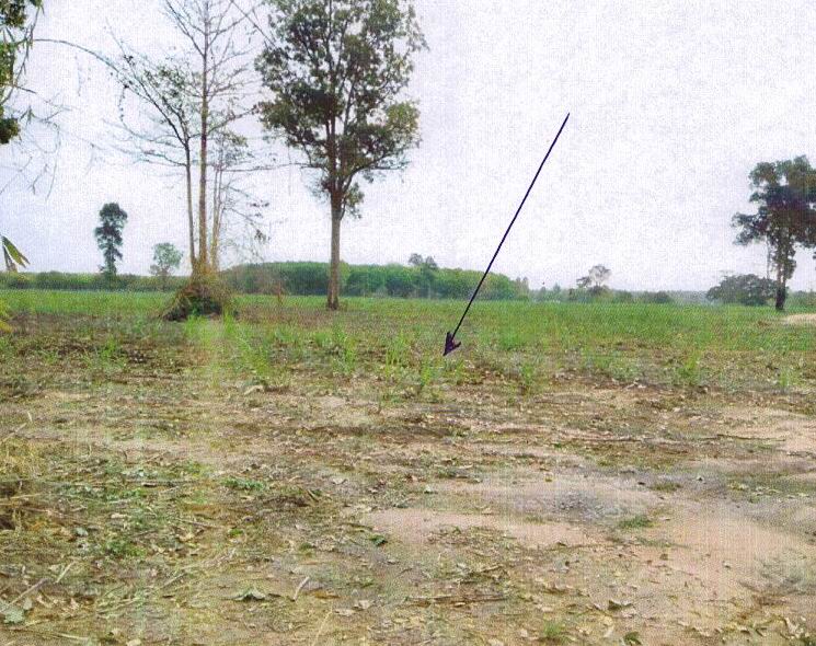 รูปที่ดินว่างเปล่า เหล่าหมี ดอนตาล มุกดาหาร