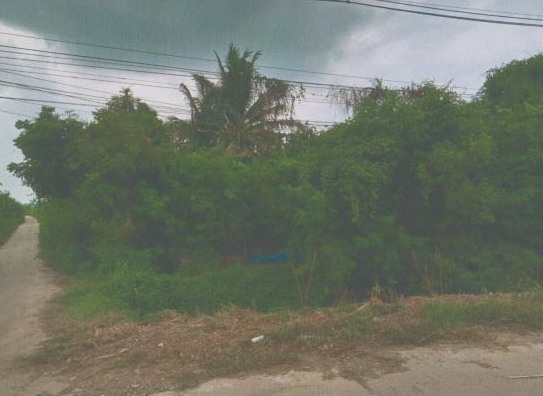 รูปที่ดินว่างเปล่า ทับยา อินทร์บุรี สิงห์บุรี