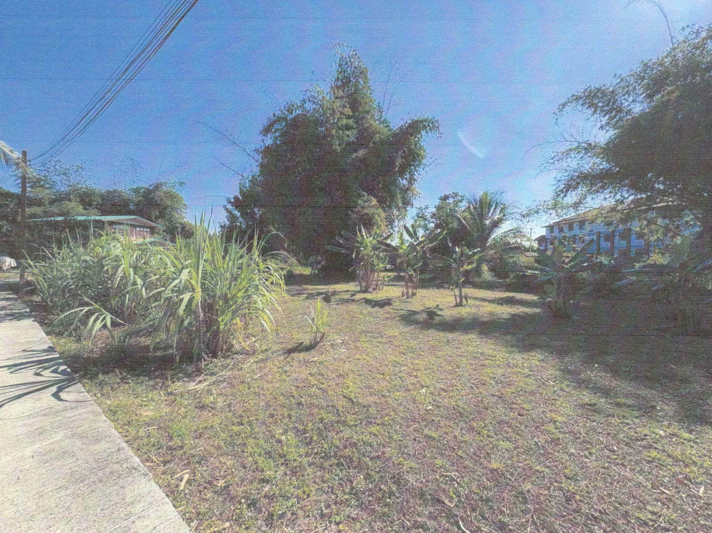 รูปที่ดินว่างเปล่า กุดป่อง เมืองเลย เลย