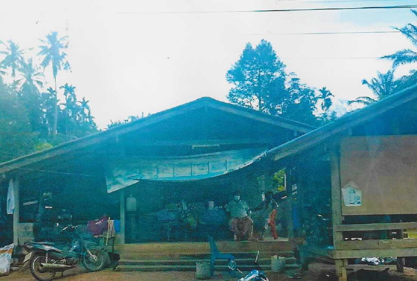 รูปที่ดินพร้อมสิ่งปลูกสร้าง คลองน้อย ชัยบุรี สุราษฎร์ธานี