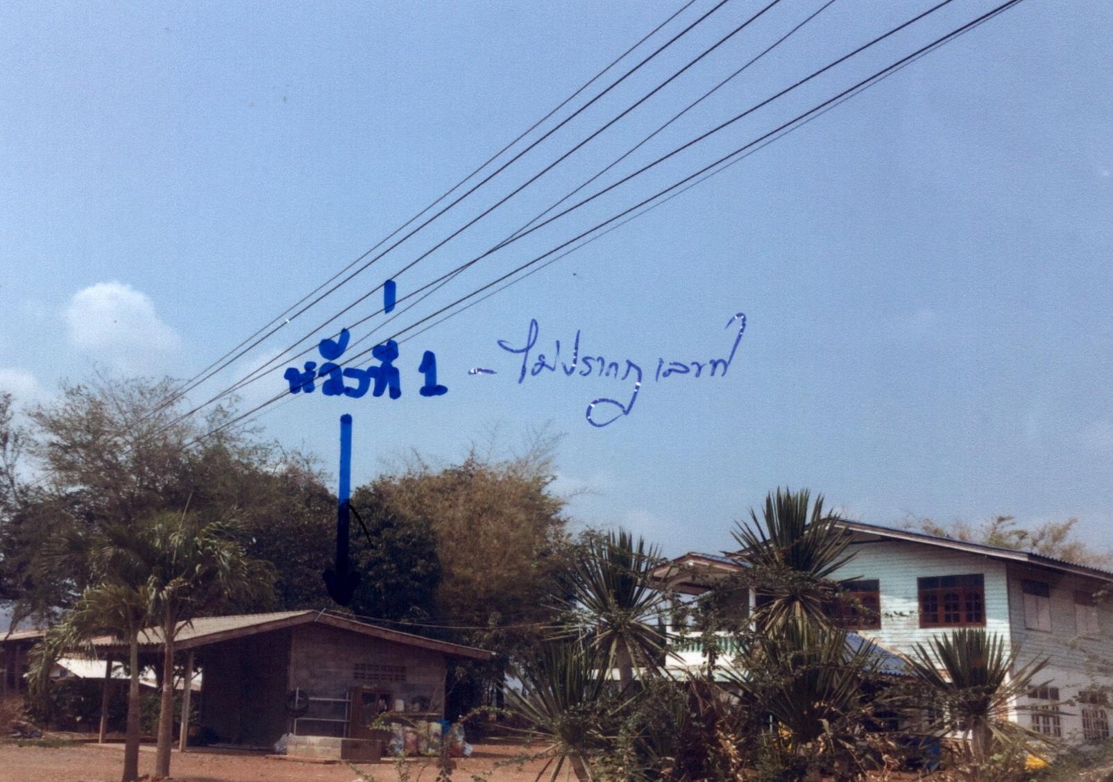 รูปที่ดินพร้อมสิ่งปลูกสร้าง ดงดินแดง หนองม่วง ลพบุรี