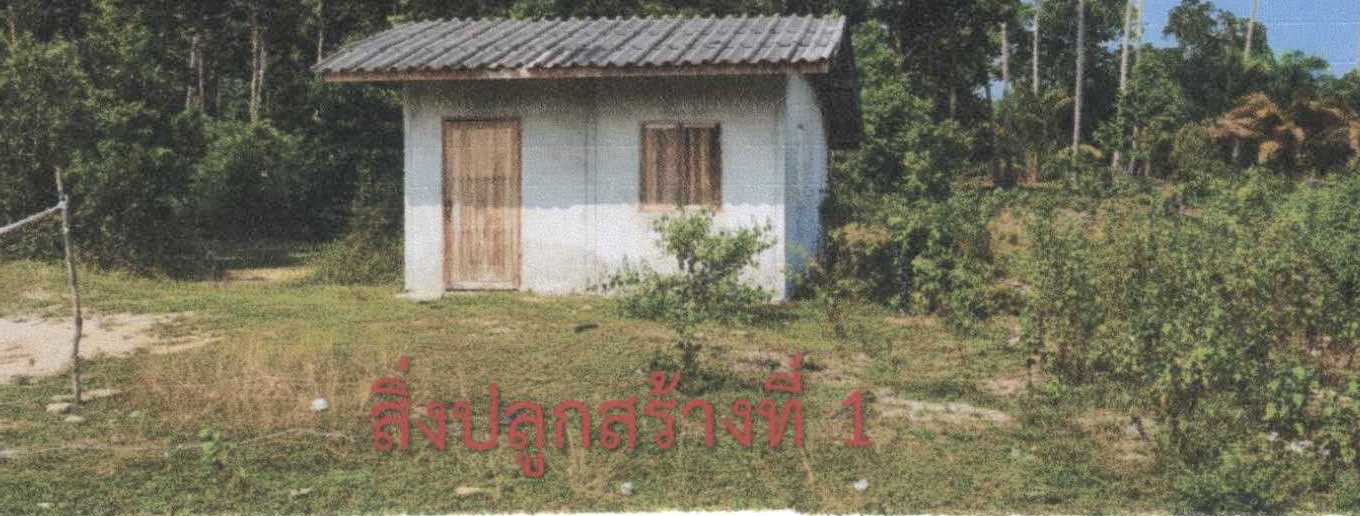 รูปที่ดินพร้อมสิ่งปลูกสร้าง ดอนทราย ไม้แก่น ปัตตานี