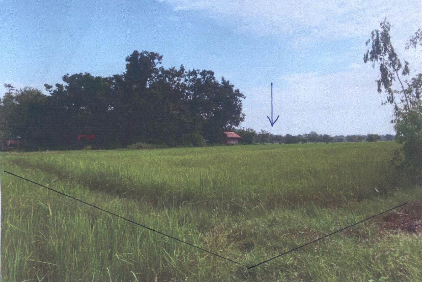 รูปที่ดินว่างเปล่า นาเลิง ม่วงสามสิบ อุบลราชธานี