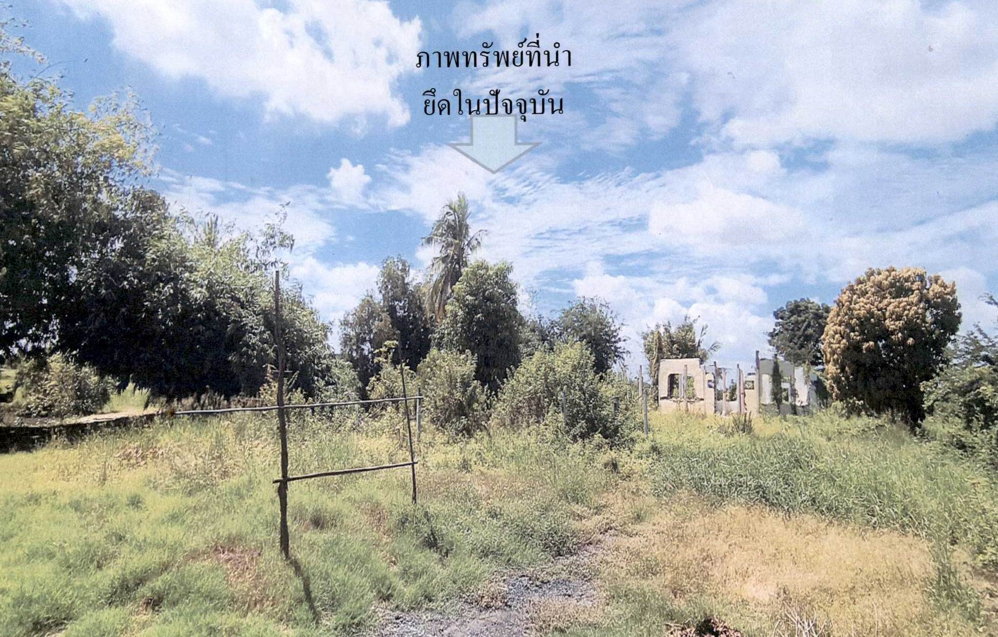 รูปที่ดินว่างเปล่า ไผ่พระ บางไทร พระนครศรีอยุธยา