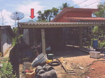 รูปที่ดินพร้อมสิ่งปลูกสร้าง ทุ่งกระบือ ย่านตาขาว ตรัง