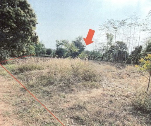 รูปที่ดินว่างเปล่า บ้านผึ้ง เมืองนครพนม นครพนม