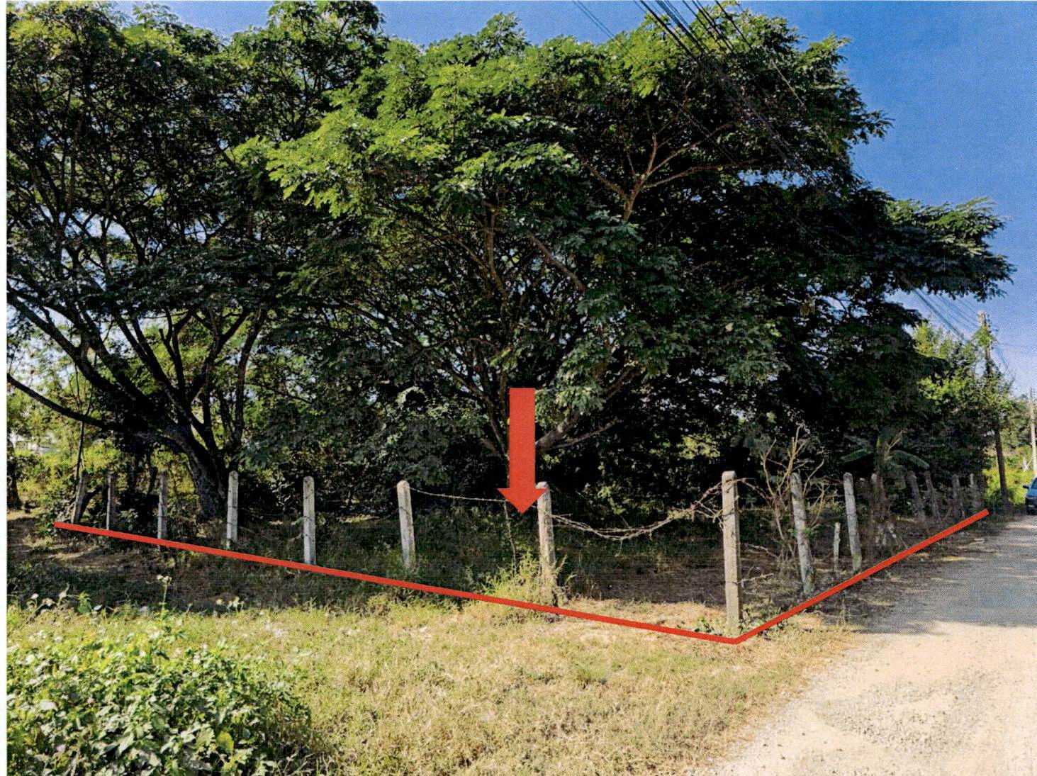 รูปที่ดินว่างเปล่า ปงแสนทอง เมืองลำปาง ลำปาง