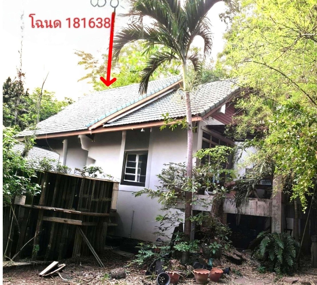 รูปที่ดินพร้อมสิ่งปลูกสร้าง บ้านโพธิ์ เมืองนครราชสีมา นครราชสีมา