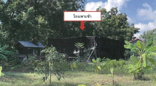 รูปที่ดินพร้อมสิ่งปลูกสร้าง บ่อถ้ำ ขาณุวรลักษบุรี กำแพงเพชร