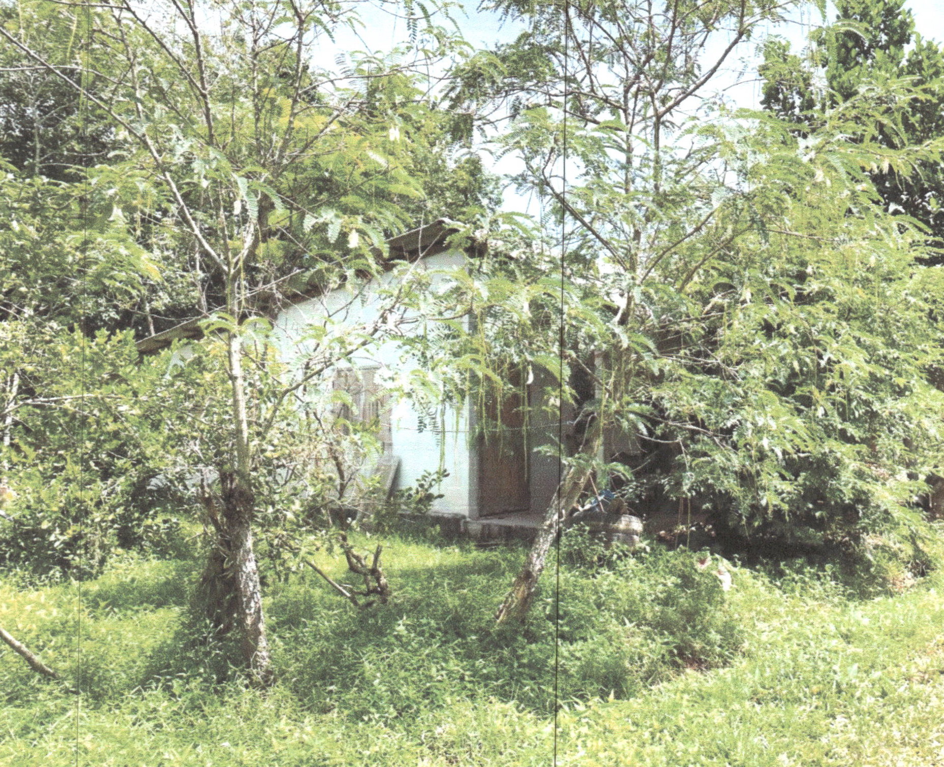รูปที่ดินพร้อมสิ่งปลูกสร้าง พนางตุง ควนขนุน พัทลุง