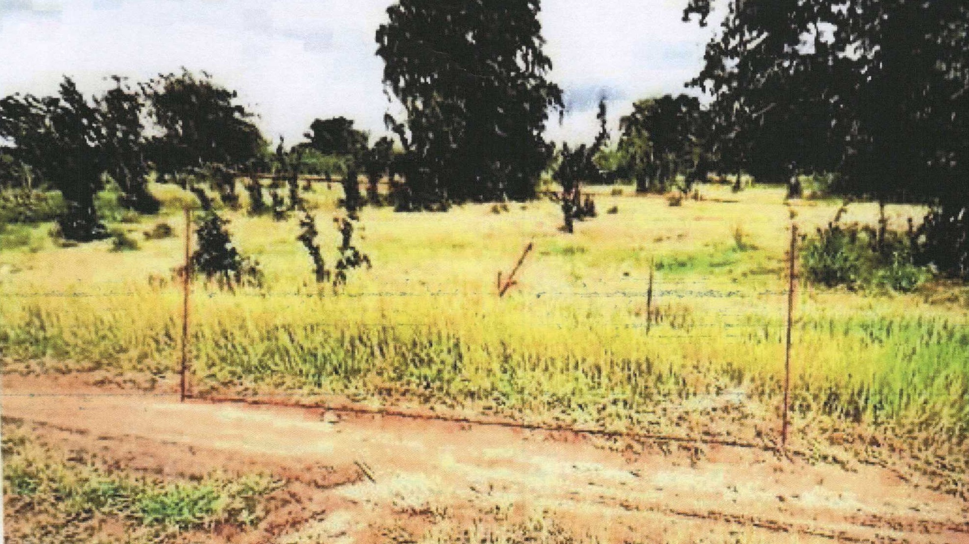 รูปที่ดินว่างเปล่า เพนียด โคกสำโรง ลพบุรี