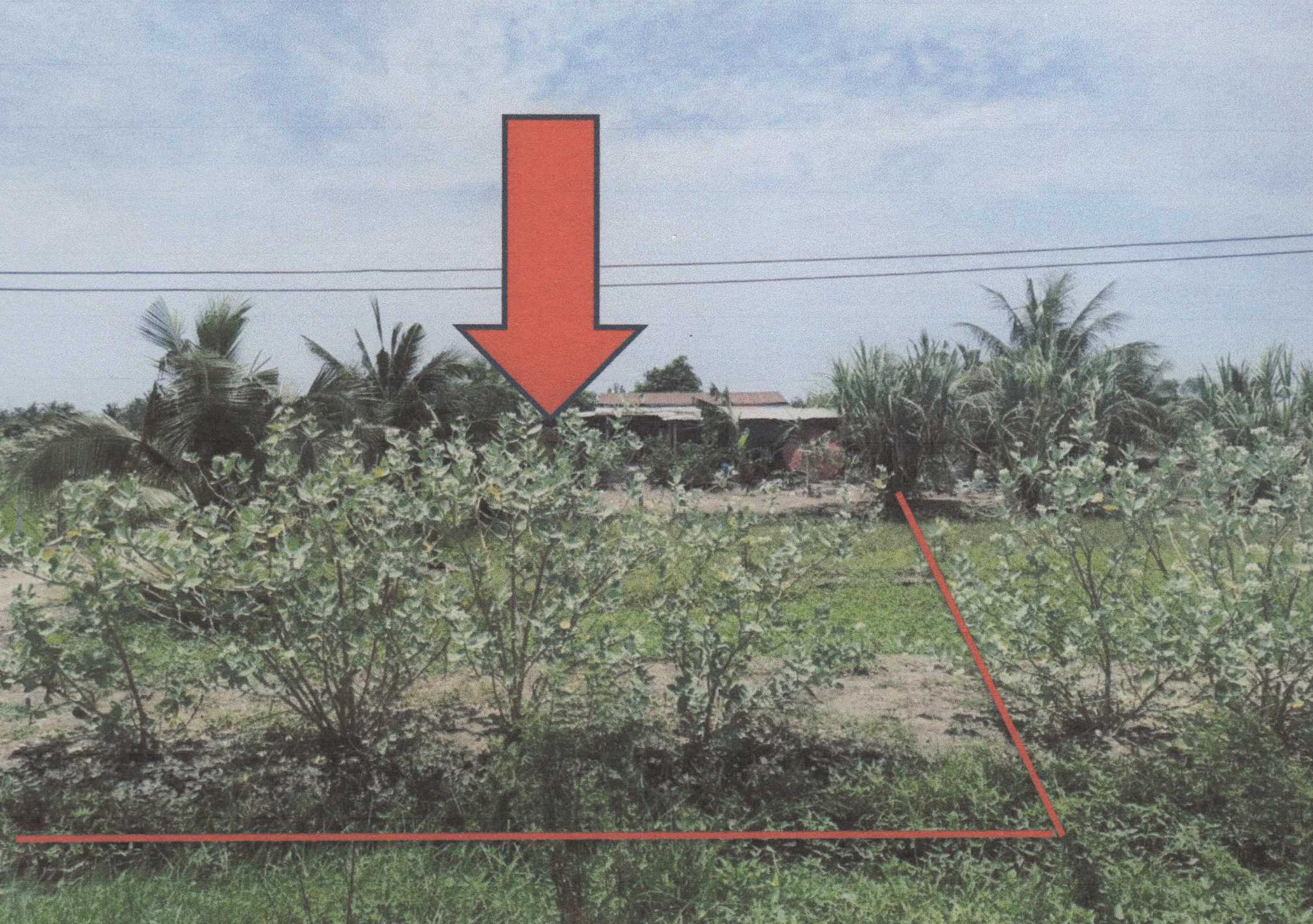 รูปที่ดินว่างเปล่า คลองขวาง ไทรน้อย นนทบุรี