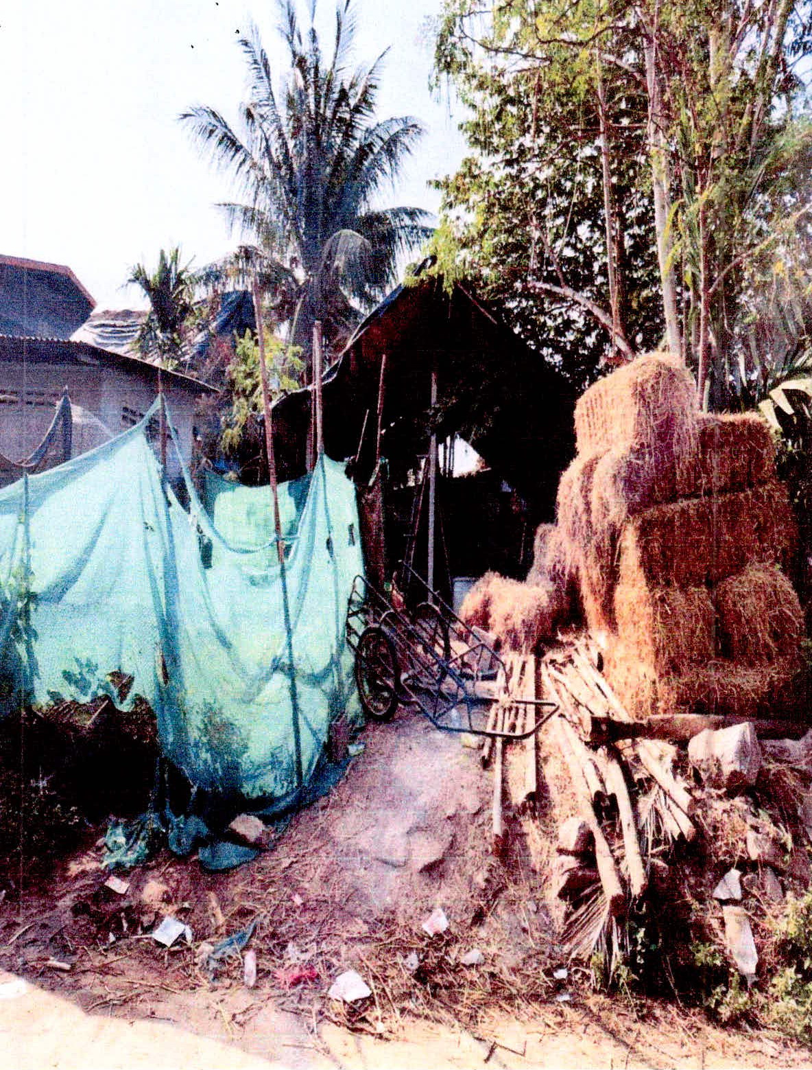 รูปที่ดินว่างเปล่า หนองห้าง อุทุมพรพิสัย ศรีสะเกษ