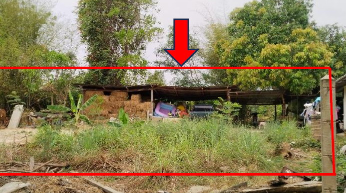 รูปที่ดินพร้อมสิ่งปลูกสร้าง กระเดียน ตระการพืชผล อุบลราชธานี