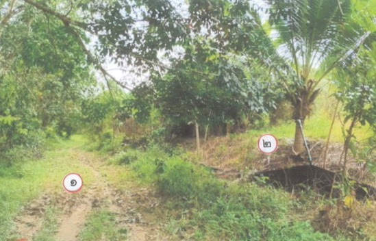 รูปที่ดินว่างเปล่า แป-ระ ท่าแพ สตูล