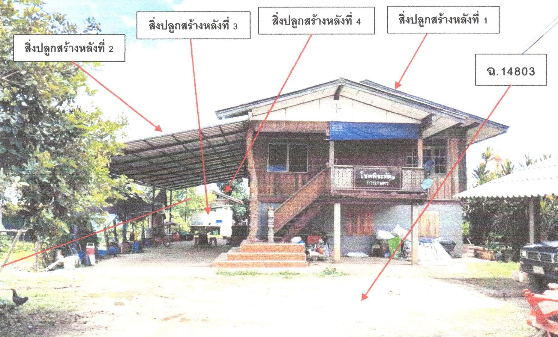รูปที่ดินพร้อมสิ่งปลูกสร้าง ท่าก๊อ แม่สรวย เชียงราย