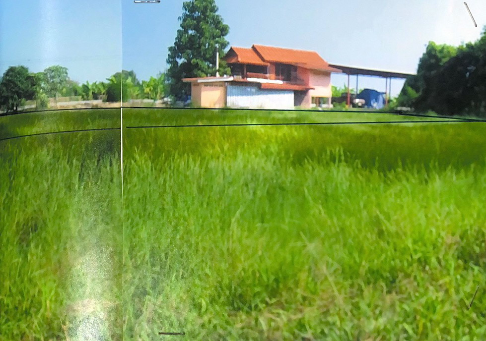 รูปที่ดินว่างเปล่า ศรีจุฬา เมืองนครนายก นครนายก