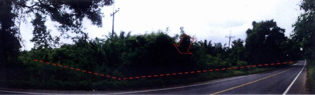 รูปที่ดินว่างเปล่า สองแพรก ชัยบุรี สุราษฎร์ธานี