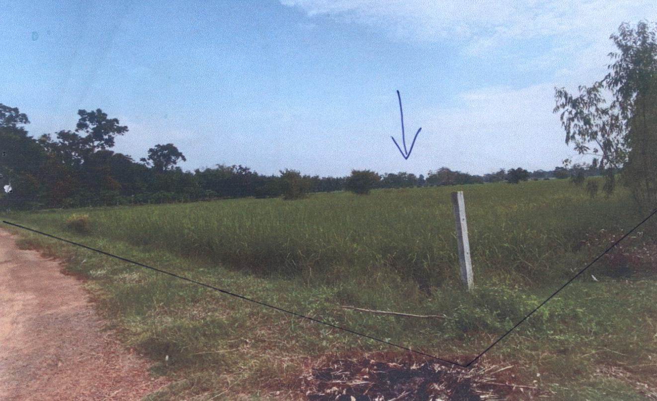 รูปที่ดินว่างเปล่า นาเลิง ม่วงสามสิบ อุบลราชธานี