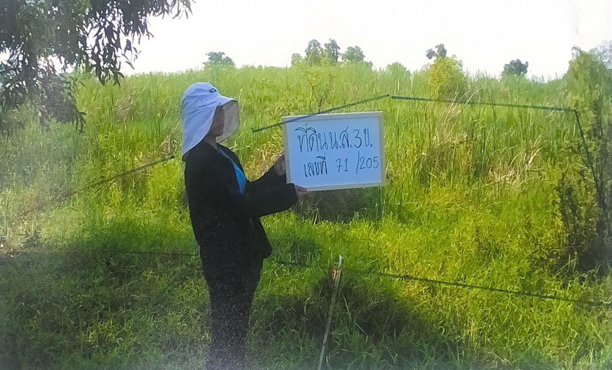 รูปที่ดินว่างเปล่า ศรีจุฬา เมืองนครนายก นครนายก