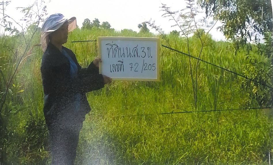 รูปที่ดินว่างเปล่า ศรีจุฬา เมืองนครนายก นครนายก
