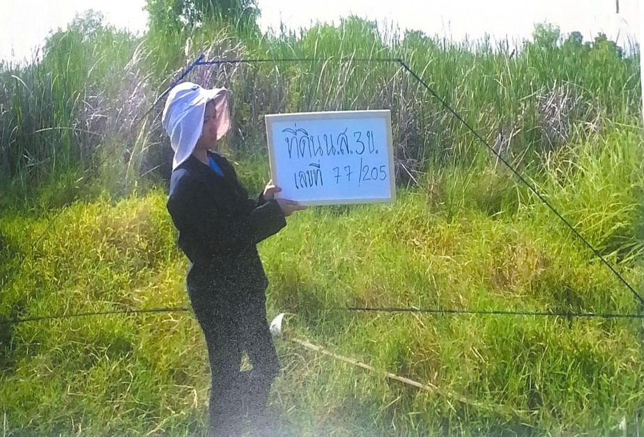 รูปที่ดินว่างเปล่า ศรีจุฬา เมืองนครนายก นครนายก