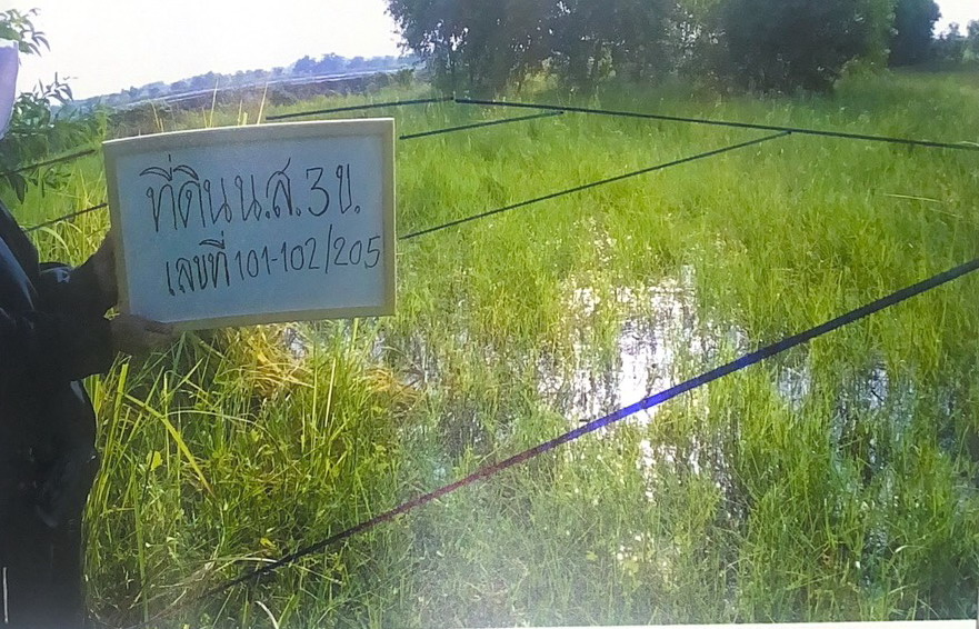 รูปที่ดินว่างเปล่า ศรีจุฬา เมืองนครนายก นครนายก