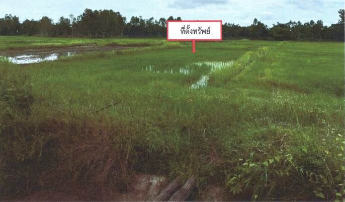 รูปที่ดินว่างเปล่า เมืองเพีย กุดจับ อุดรธานี