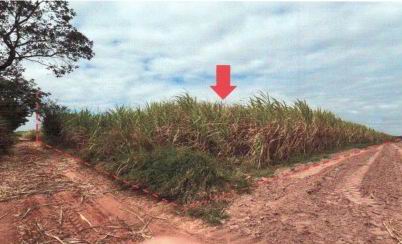 รูปที่ดินว่างเปล่า คำใหญ่ ห้วยเม็ก กาฬสินธุ์
