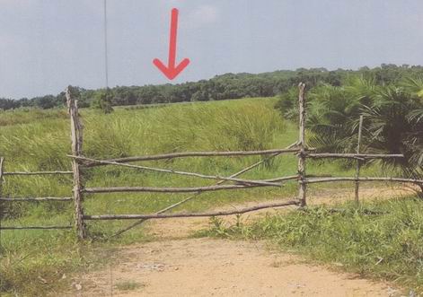 รูปที่ดินว่างเปล่า ห้วยลึก ควนเนียง สงขลา