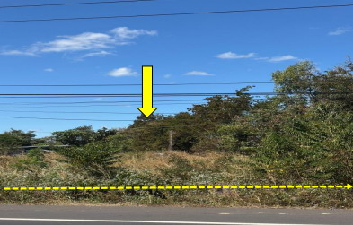 รูปที่ดินว่างเปล่า โพธิ์ศรี พิบูลมังสาหาร อุบลราชธานี