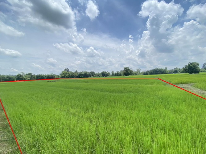 รูปที่ดินว่างเปล่า พังทุย น้ำพอง ขอนแก่น
