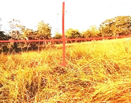 รูปที่ดินว่างเปล่า แจระแม เมืองอุบลราชธานี อุบลราชธานี
