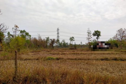 รูปที่ดินว่างเปล่า สามพร้าว เมืองอุดรธานี อุดรธานี