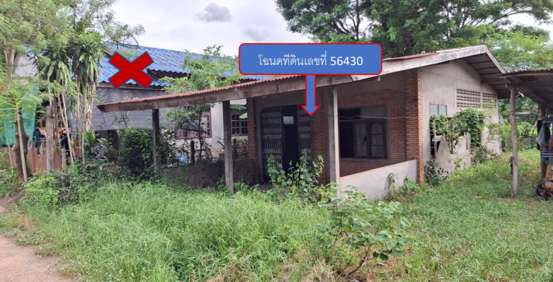 รูปที่ดินพร้อมสิ่งปลูกสร้าง ม่วงสามสิบ ม่วงสามสิบ อุบลราชธานี