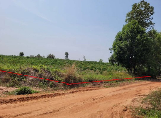 รูปที่ดินว่างเปล่า หนองบัว หนองกุงศรี กาฬสินธุ์