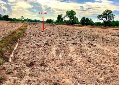 รูปที่ดินว่างเปล่า หนองตอกแป้น ยางตลาด กาฬสินธุ์