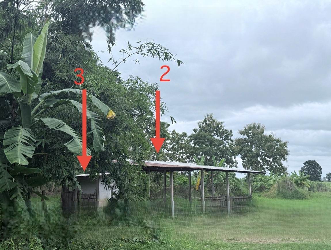 รูปที่ดินพร้อมสิ่งปลูกสร้าง พังทุย น้ำพอง ขอนแก่น