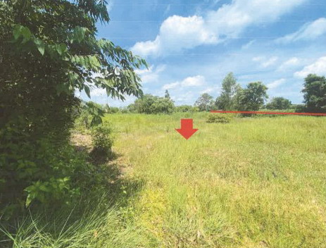 รูปที่ดินว่างเปล่า หนองแปน กมลาไสย กาฬสินธุ์